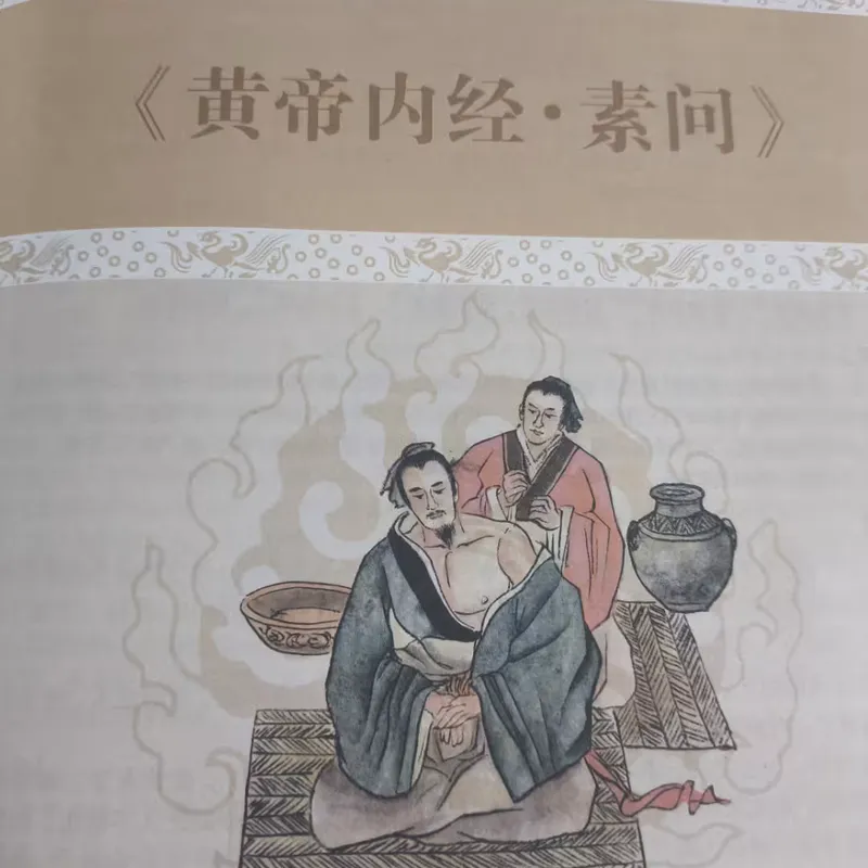 中西医之争，为何没人提比中医早五百年的印医