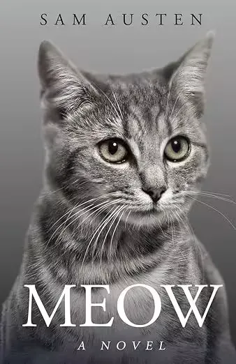 转载：MEOW MEOW?